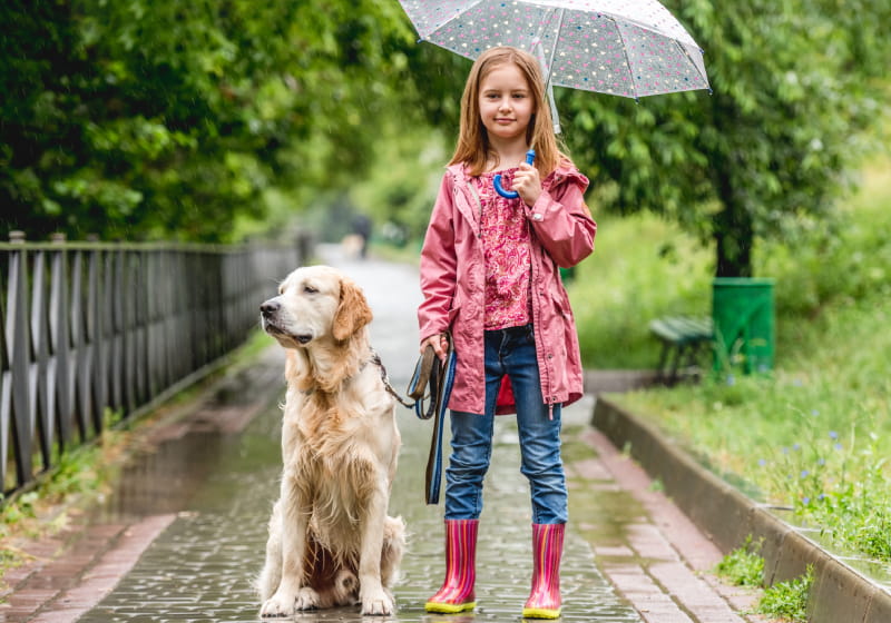 menina passeando com cachorro em dia de chuva com guarda chuva na mão e roupas de chuva 